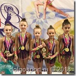 Региональный турнир по художественной гимнастике в Коврове